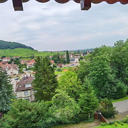 Chez Aude Apartment Andlau-au-Val Bagian luar foto