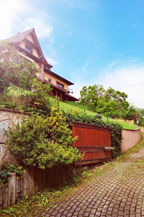 Chez Aude Apartment Andlau-au-Val Bagian luar foto