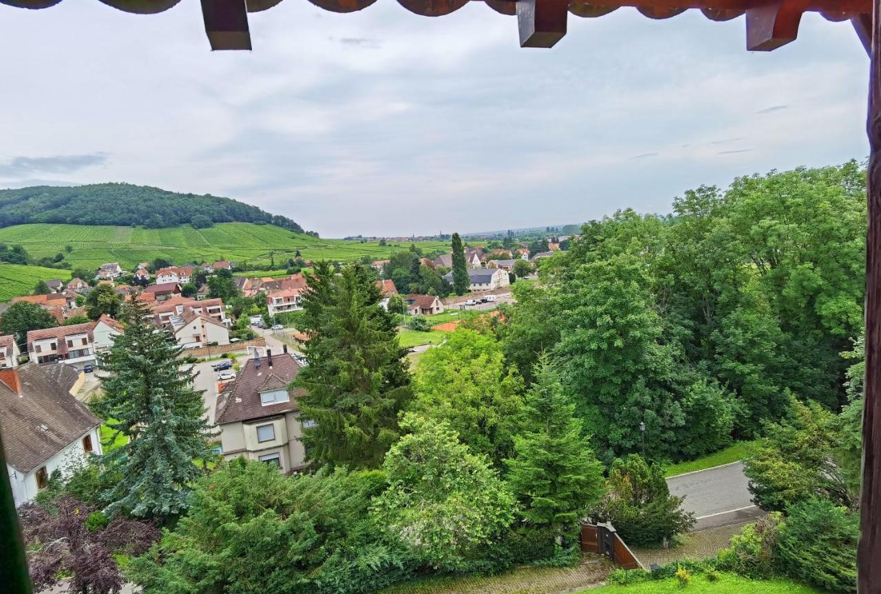Chez Aude Apartment Andlau-au-Val Bagian luar foto