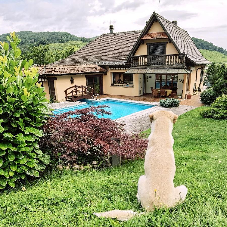 Chez Aude Apartment Andlau-au-Val Bagian luar foto