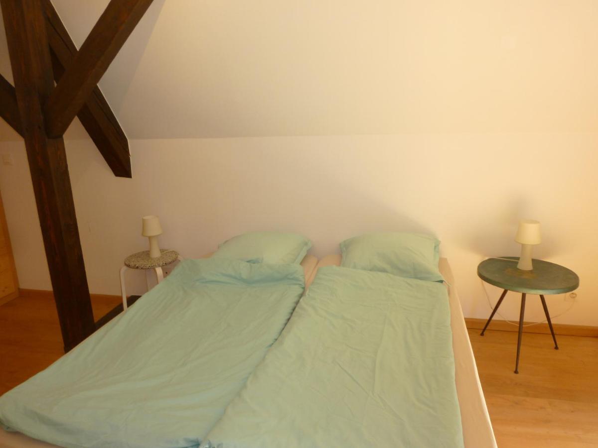 Chez Aude Apartment Andlau-au-Val Bagian luar foto